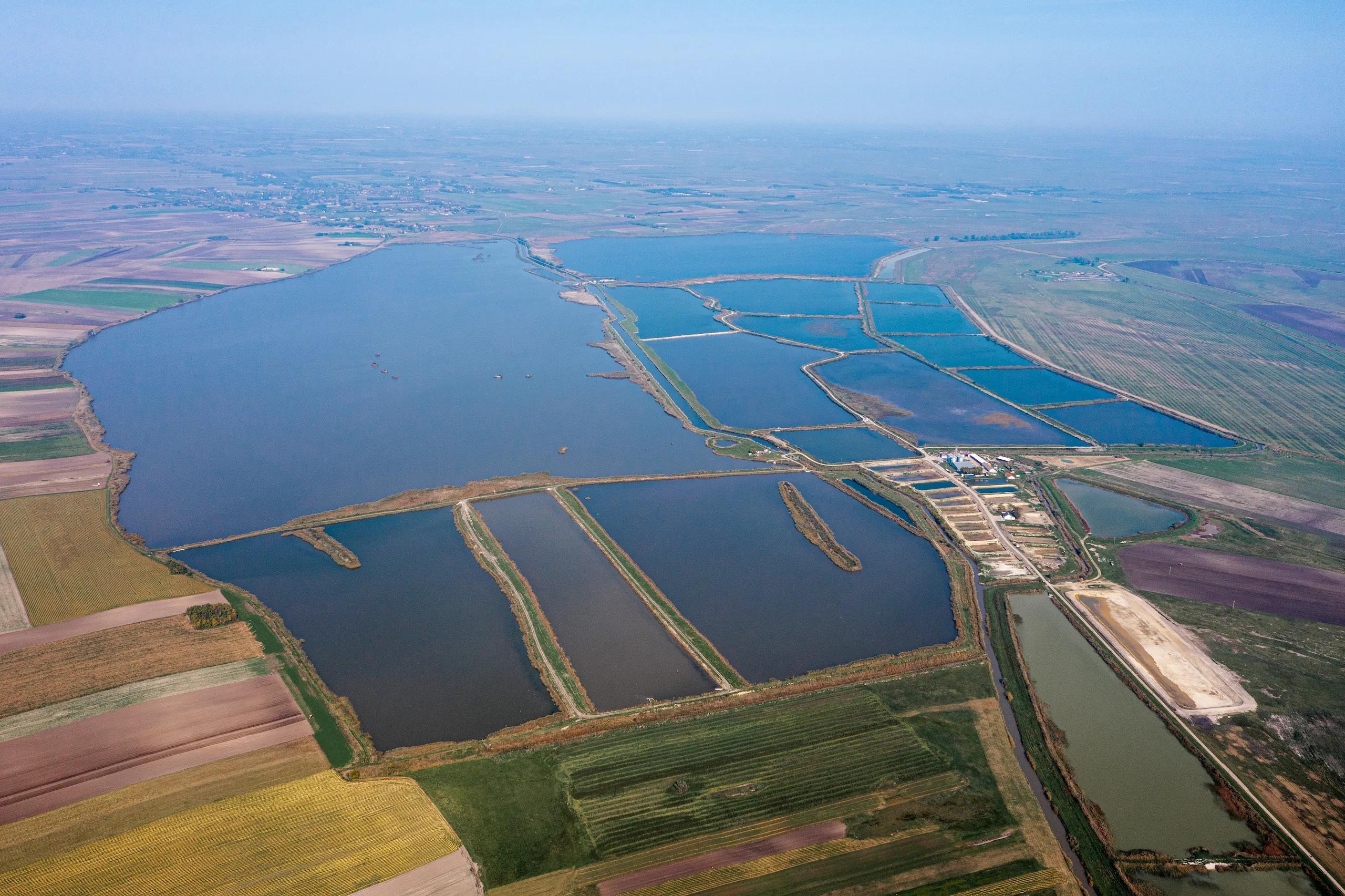 10 labudova mirno plivaju u jezeru plave boje.